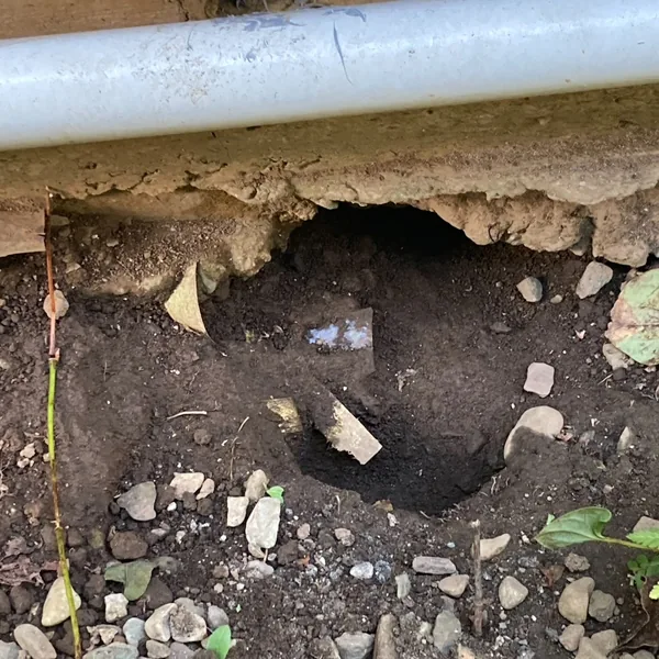 ネズミの侵入口になっていた穴